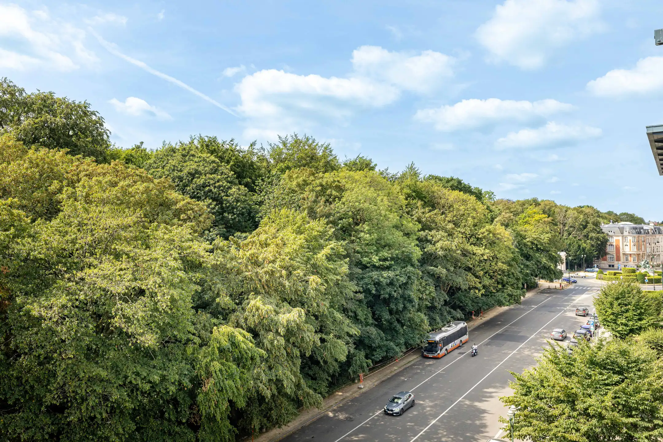 Ruim luxeappartement met uitzicht op Ter Kamerenbos foto 5