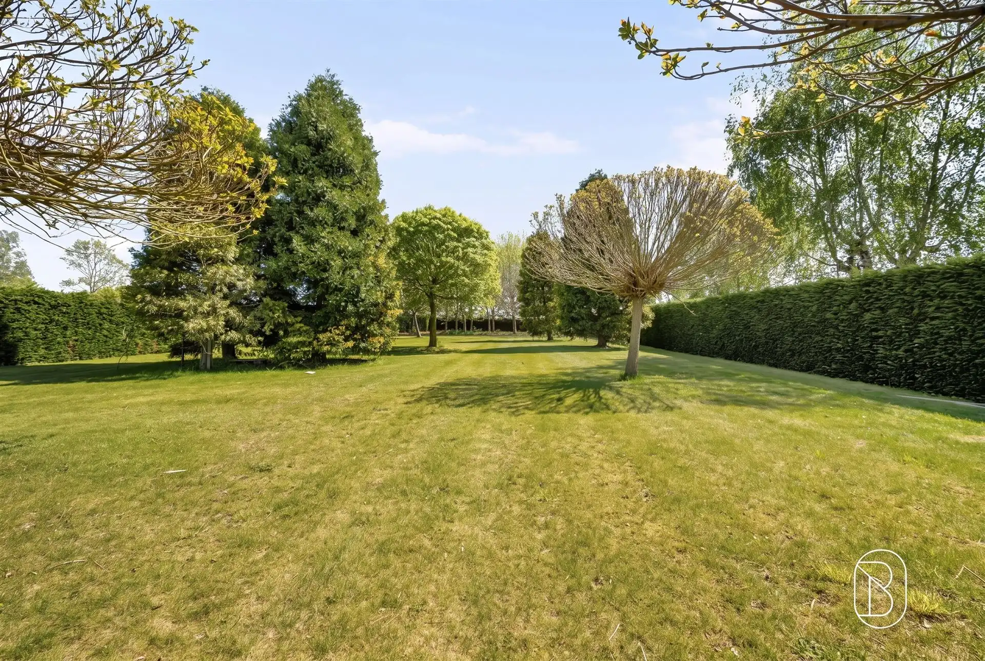 Perfect onderhouden grote villa op 3000m2. foto 4