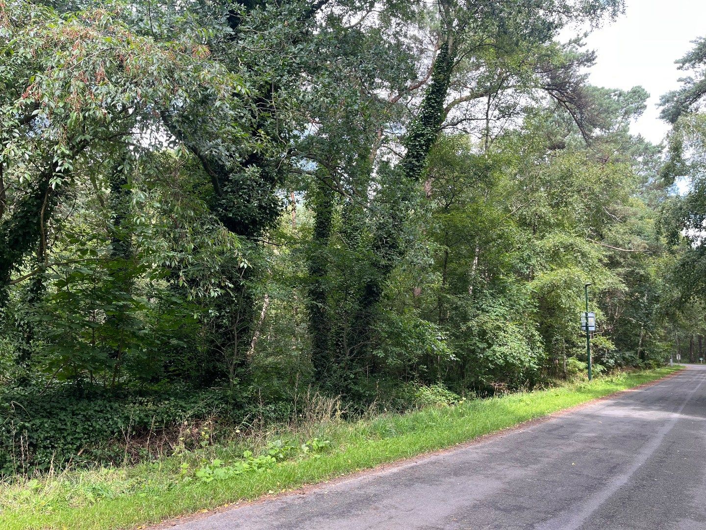 Uitgestrekt natuurgebied op een uitstekende locatie te Schilde! foto 6