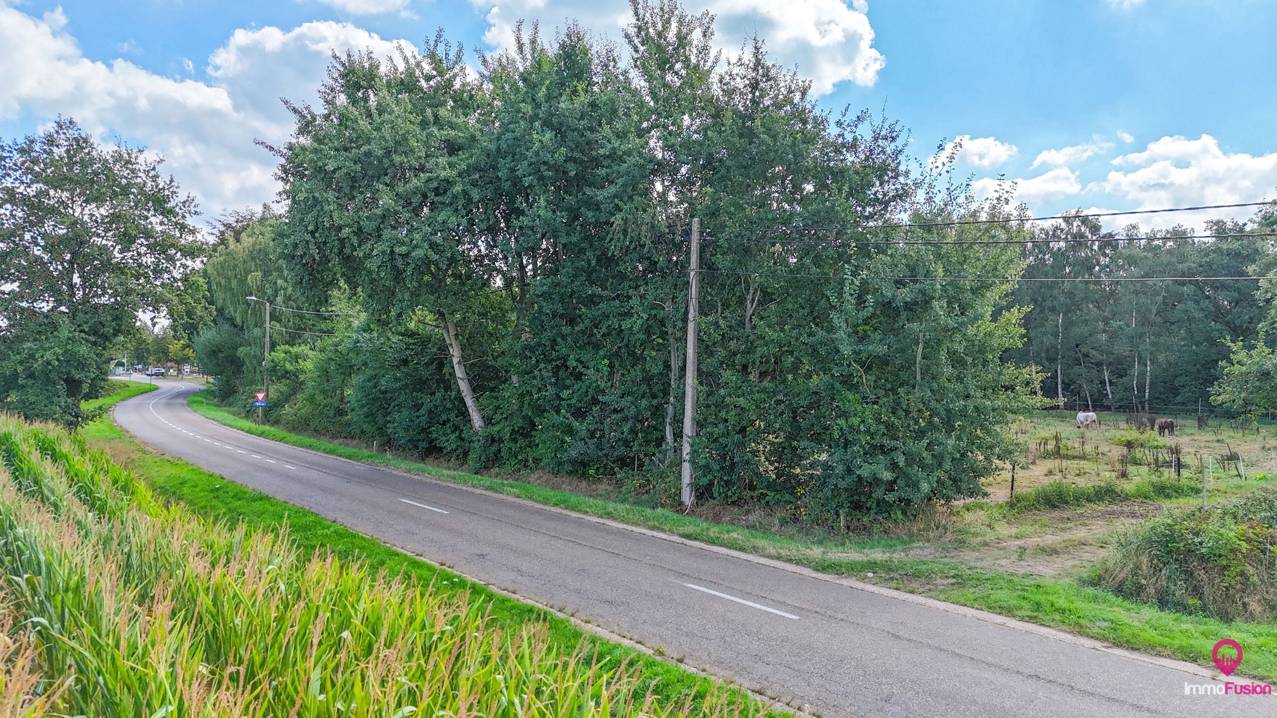 Uitgestrekt perceel van 3 hectare landbouw- of paardenweide! foto 4