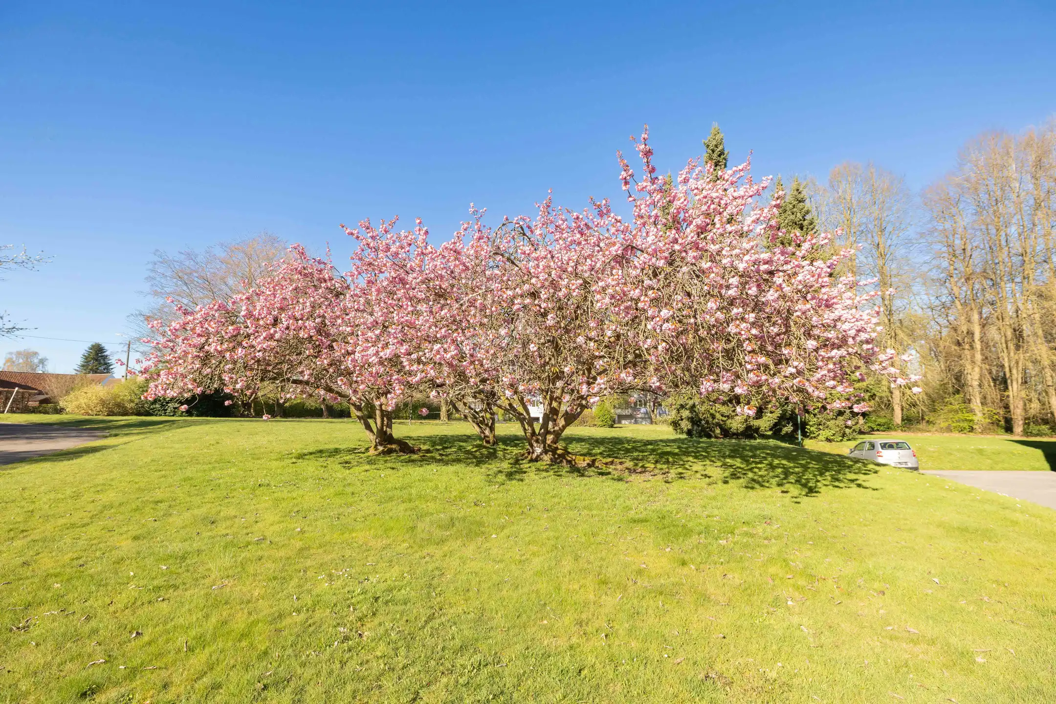 Gerenoveerd appartement met vrij uitzicht op het park foto 22