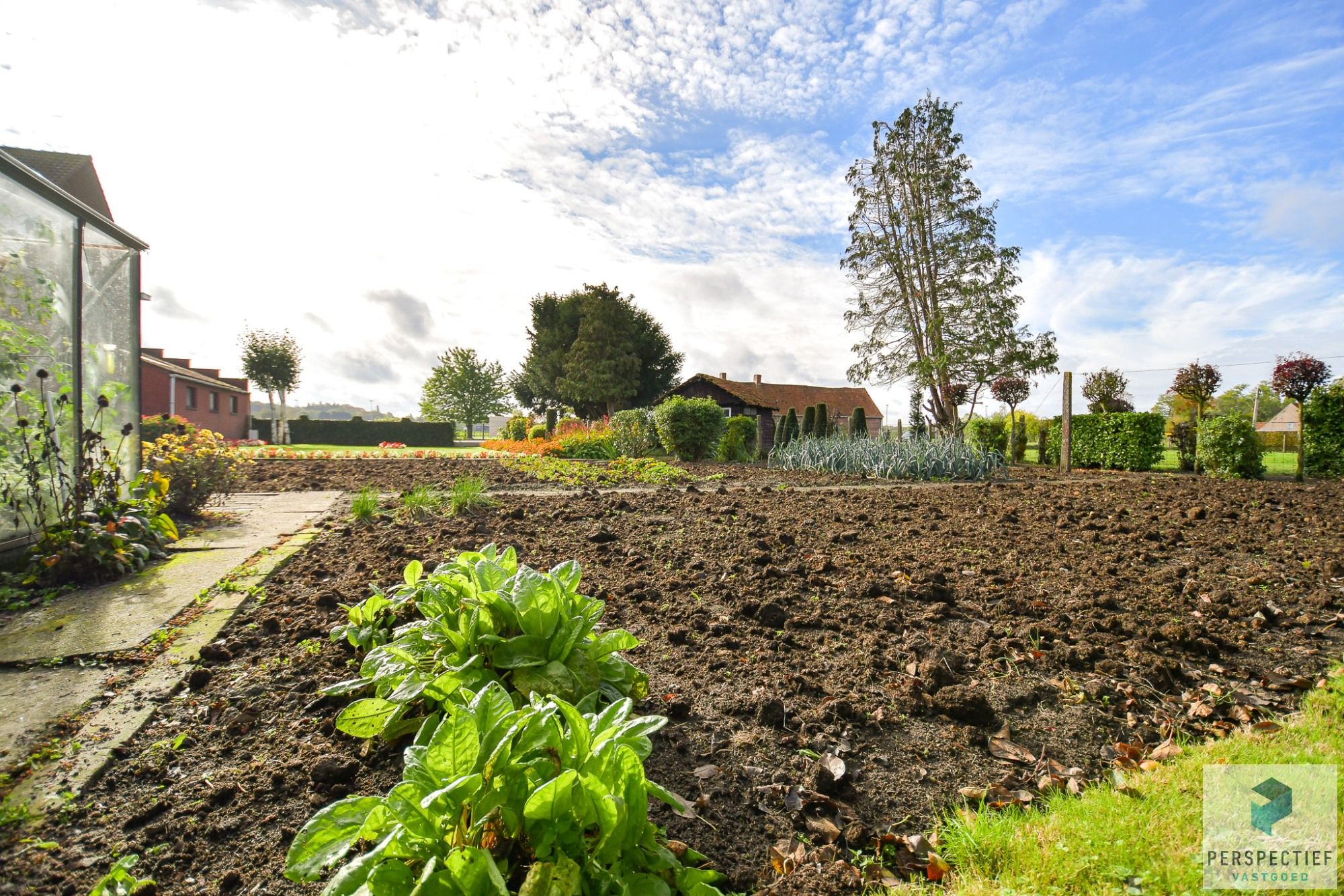 LANDELIJK GELEGEN WONING met SCHUUR  - BOOMGAARD - TUIN & MOESTUIN op 2138 m² foto 35