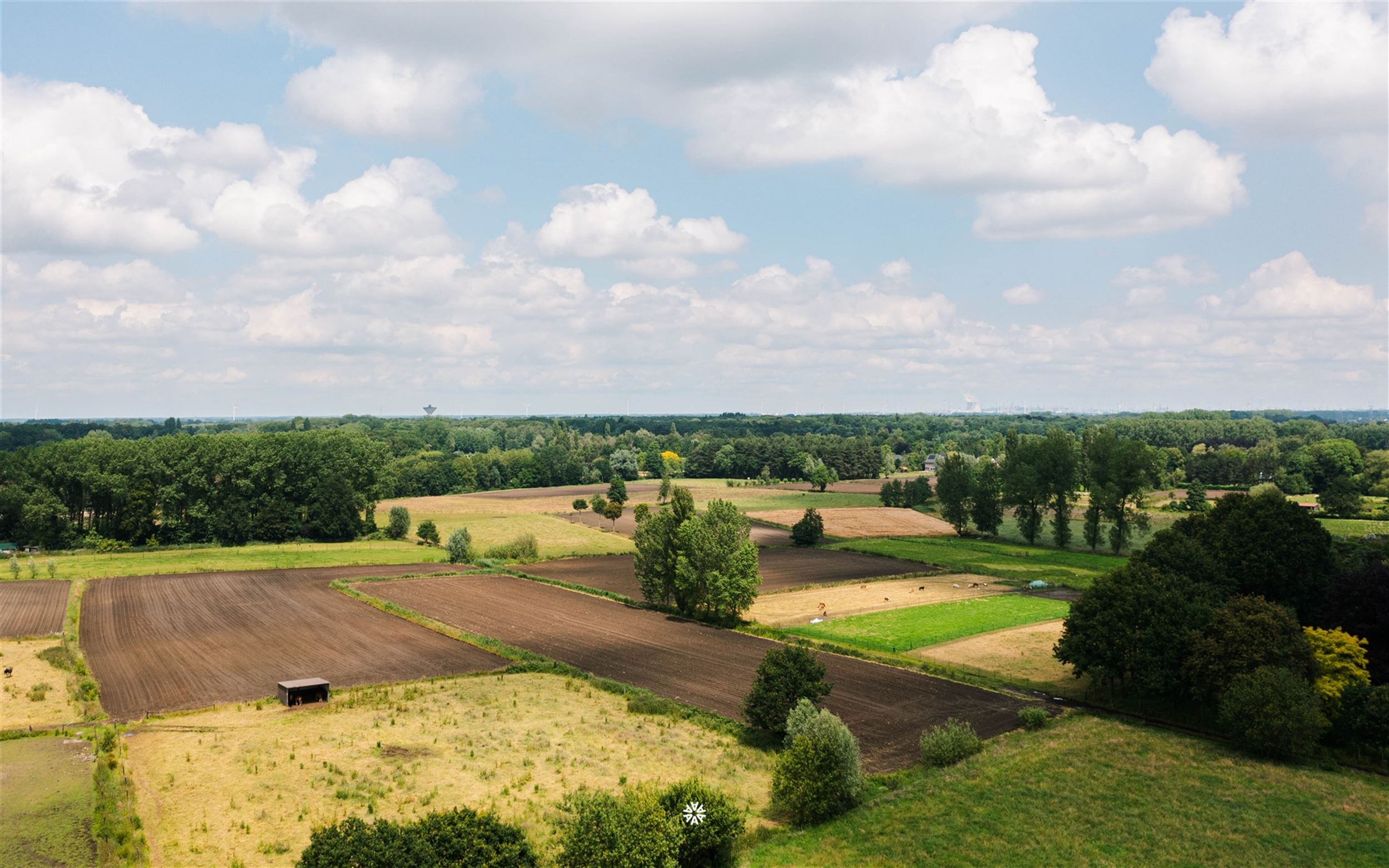 Zeer ruime, luxueuze en energiezuinige nieuwbouwwoningen te Temse Velle foto 21