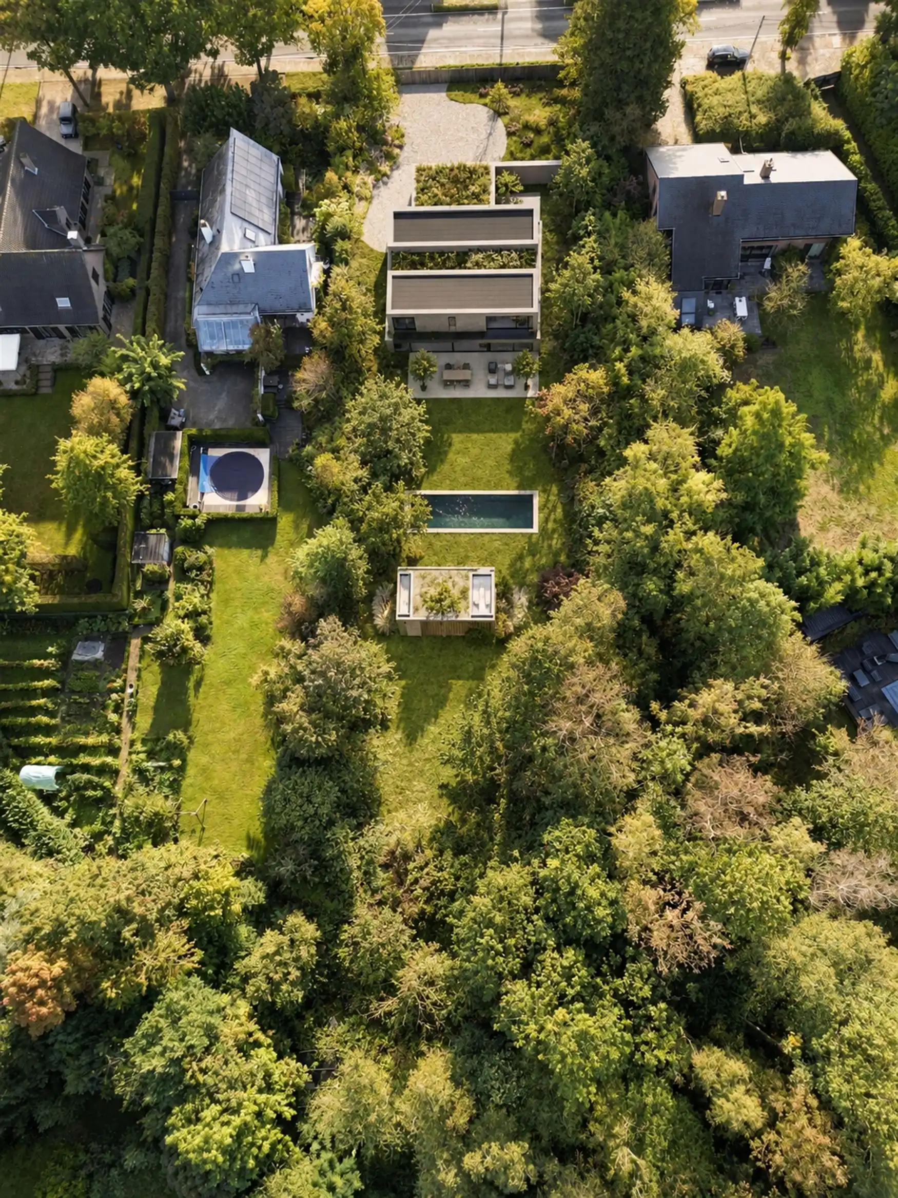 Te bouwen villa met eigen bos op +4.000 m² foto 5