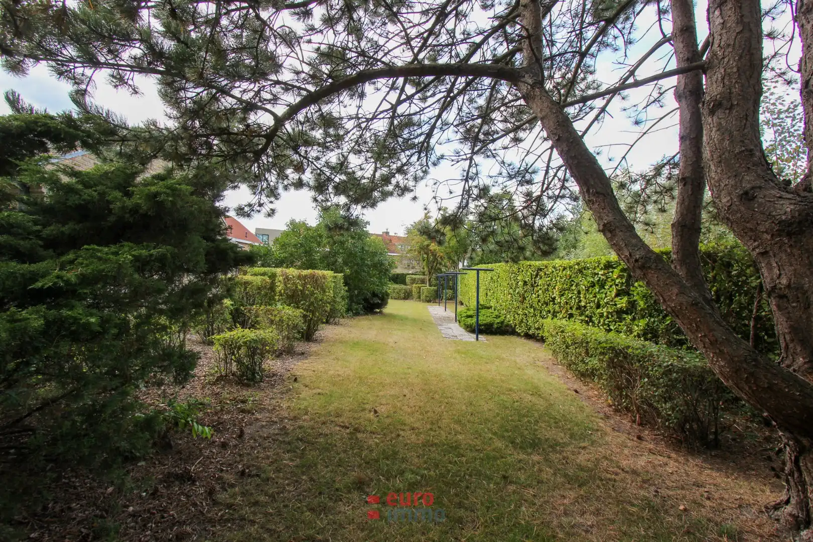 Rijkswachtstraat 48 foto 16