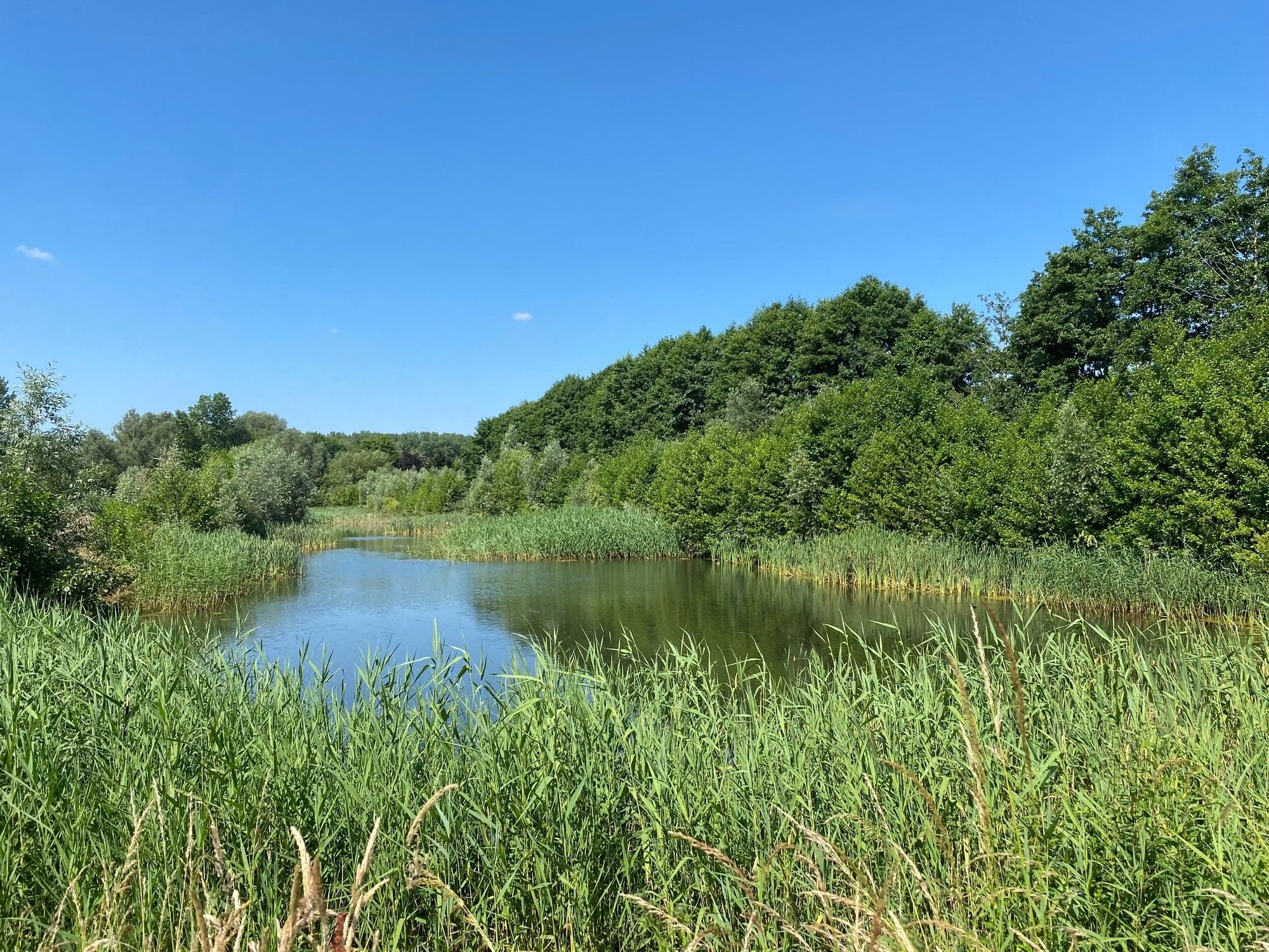 Nieuwbouw appartement met zicht op natuurreservaat foto 2