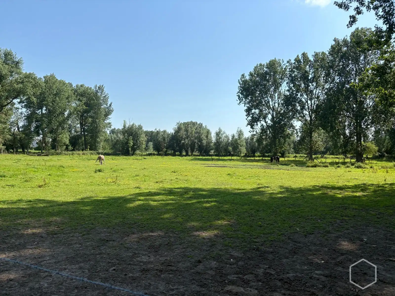 Weide van 1,28 hectare foto {{pictureIndex}}