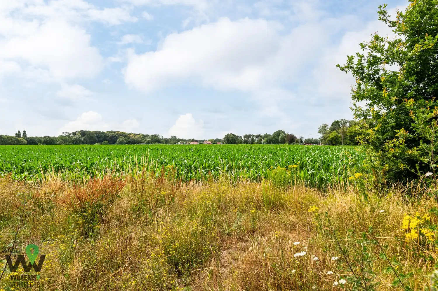 Nieuwbouw woning met open zichten te Lembeke foto 16