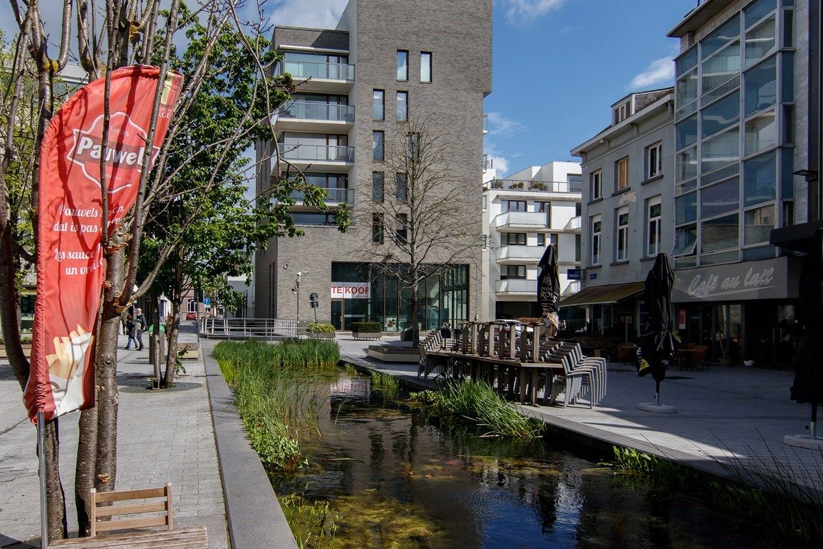 Prachtig commercieel pand in centrum Mechelen. foto 6