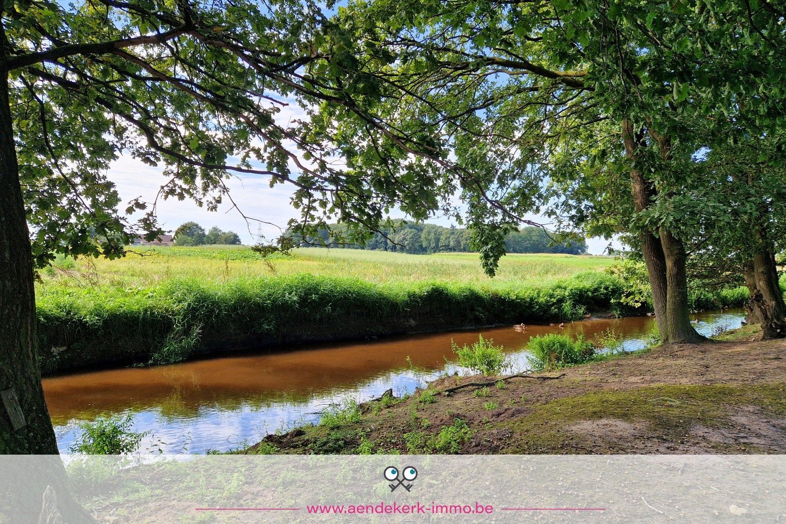 Charmant bouwproject met idyllische ligging in Ophoven foto 7