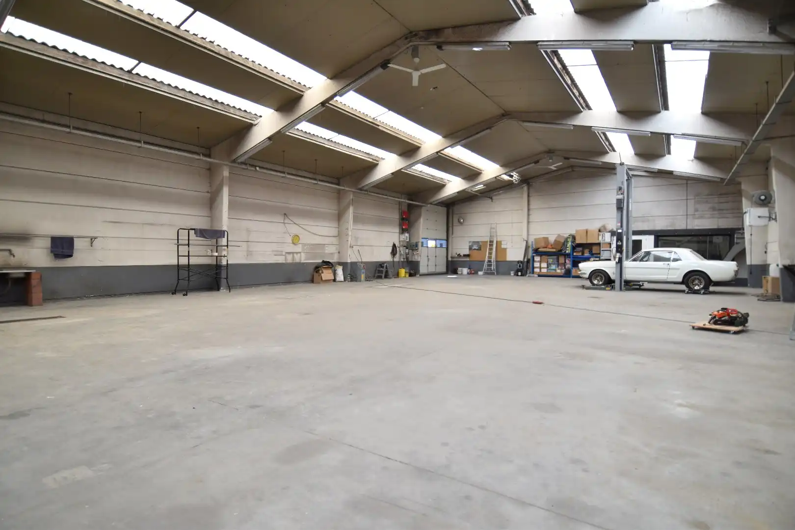 Loods met alleenstaande woning te koop in Bellegem op een perceel van 6.855 m² foto 6