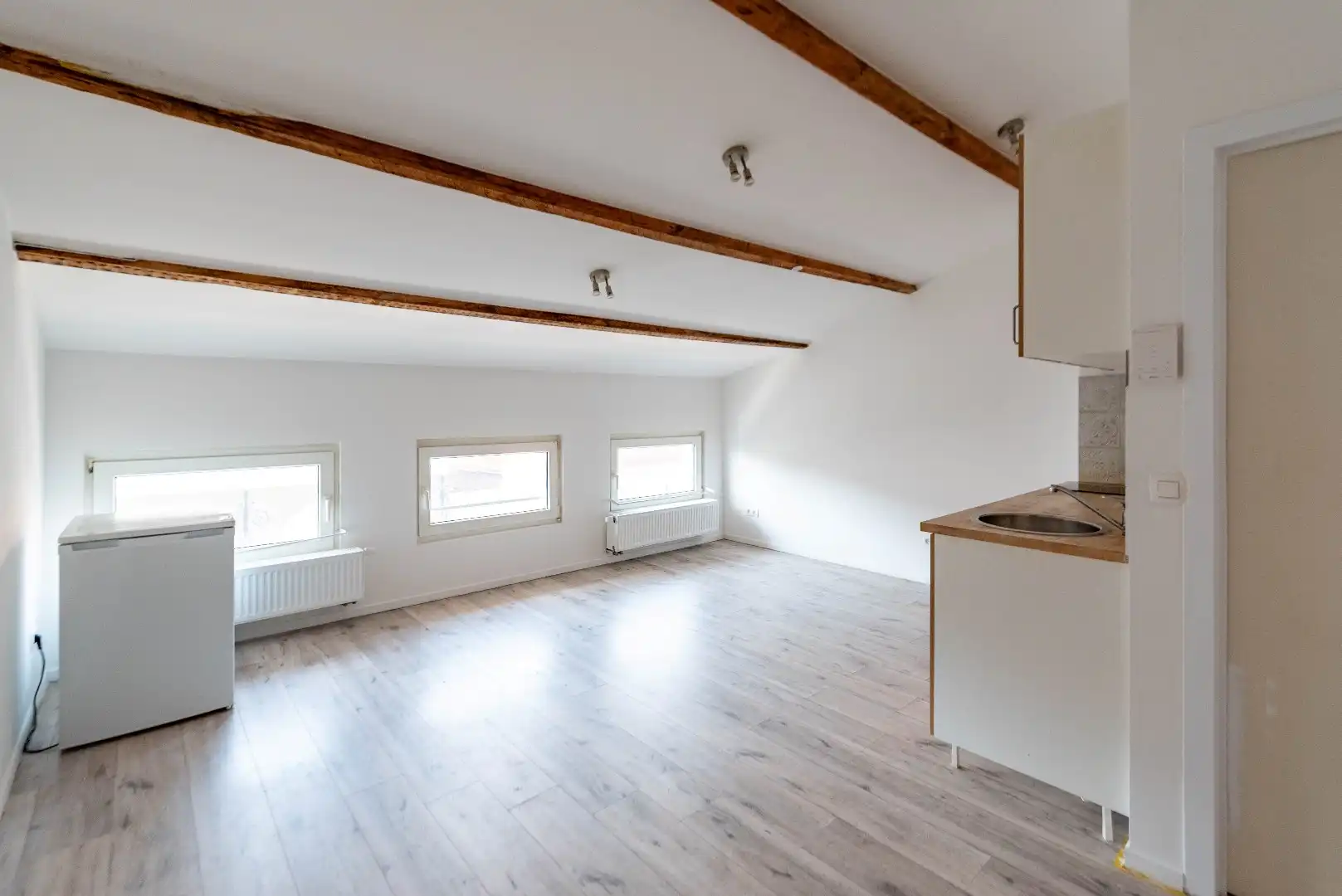 Gerenoveerd appartement nabij Park Spoor Noord foto 3