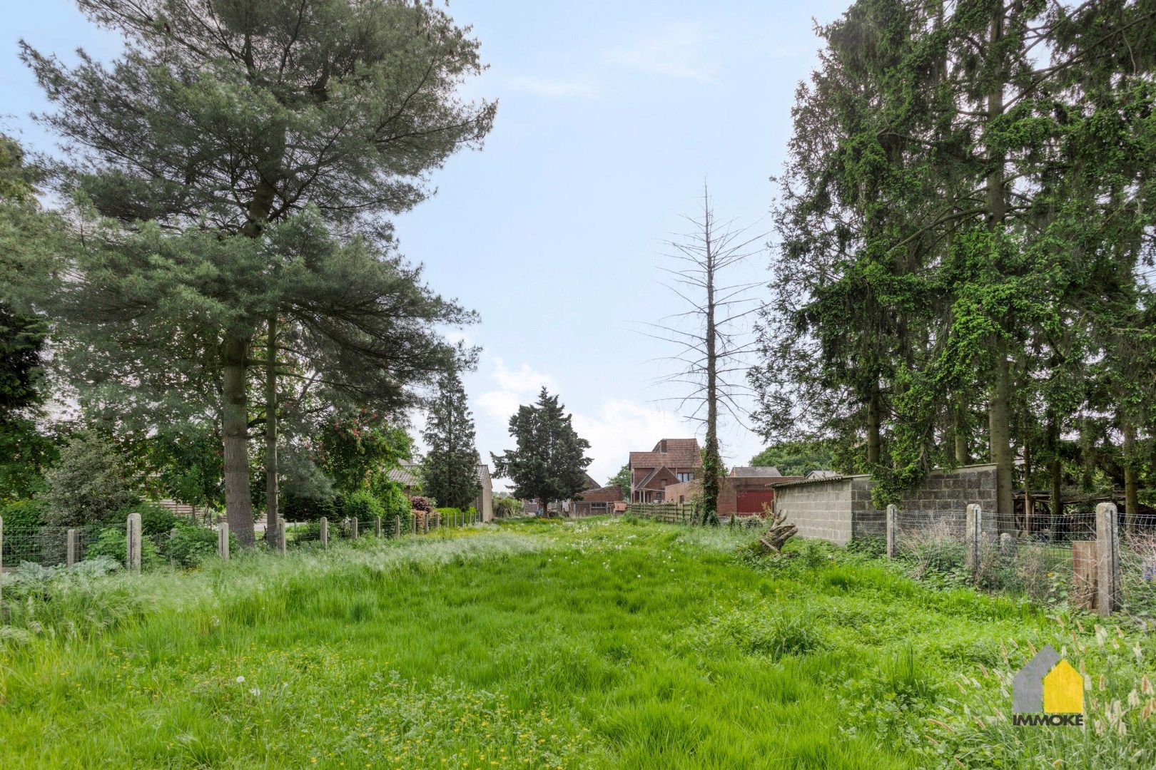 Volledig te renoveren woning op een perceel van 11 a 74 ca. foto 8