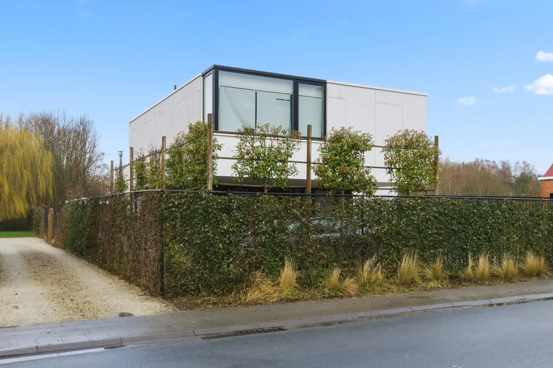 Hedendaagse nieuwbouwwoning te BOORTMEERBEEK foto 3