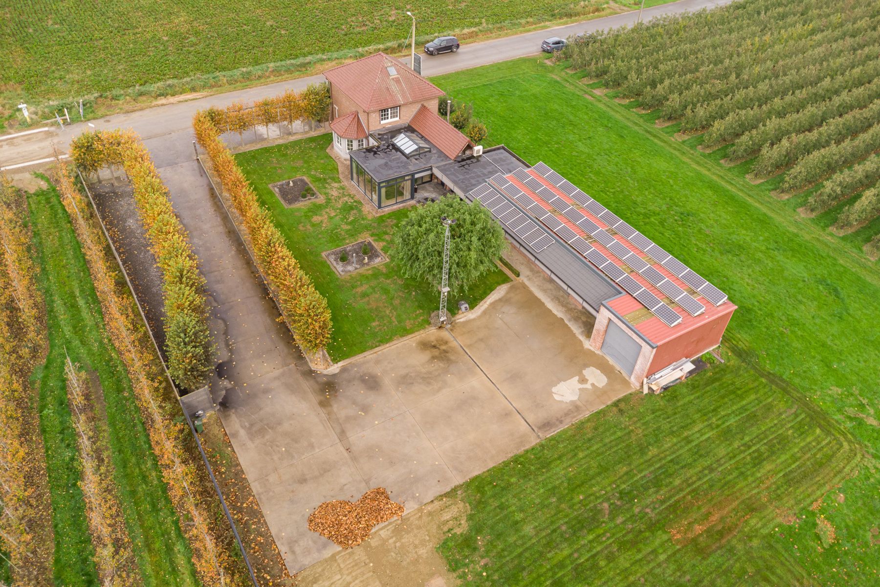 Huis te koop foto 36