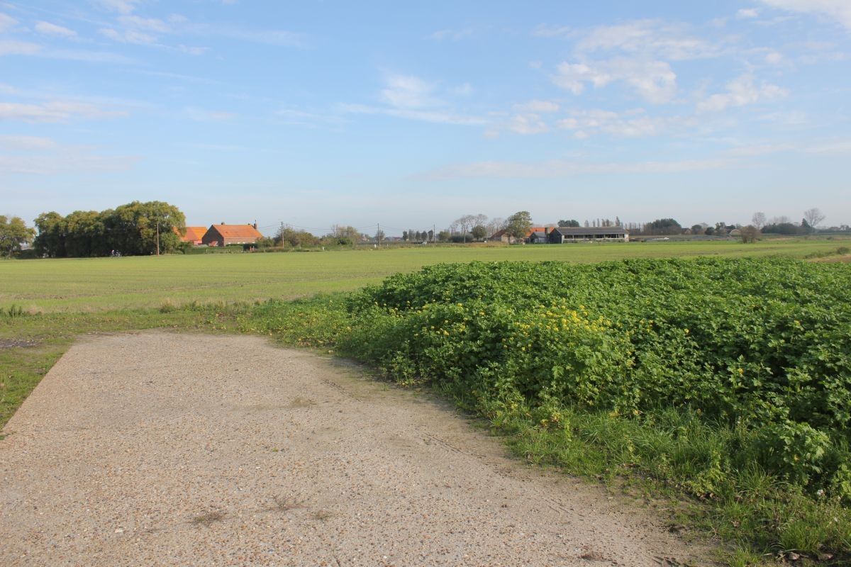 Prachtig gelegen te verbouwen hoeve te koop te Westende foto 13