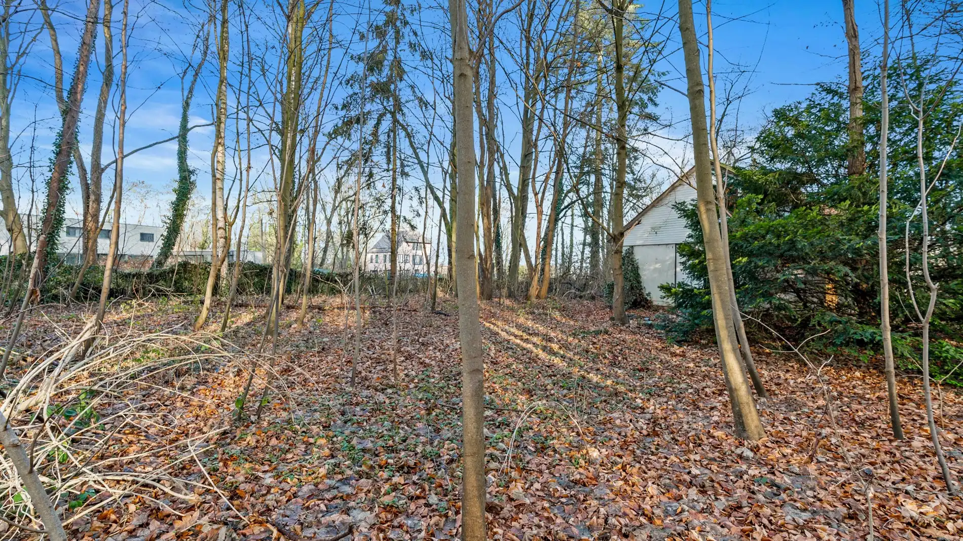 PELLENBERG - Exculsief bouwperceel op 25a68ca - OB foto 5