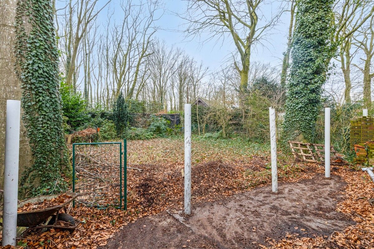 MAGAZIJN/APPARTEMENT/BURELEN en WONING te ASSEBROEK foto 41