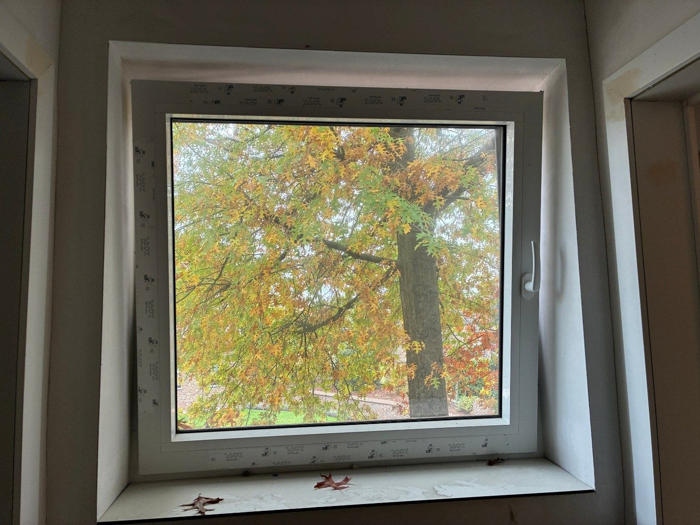 BEN-woning, rustig gelegen in Dikkelvenne foto 23