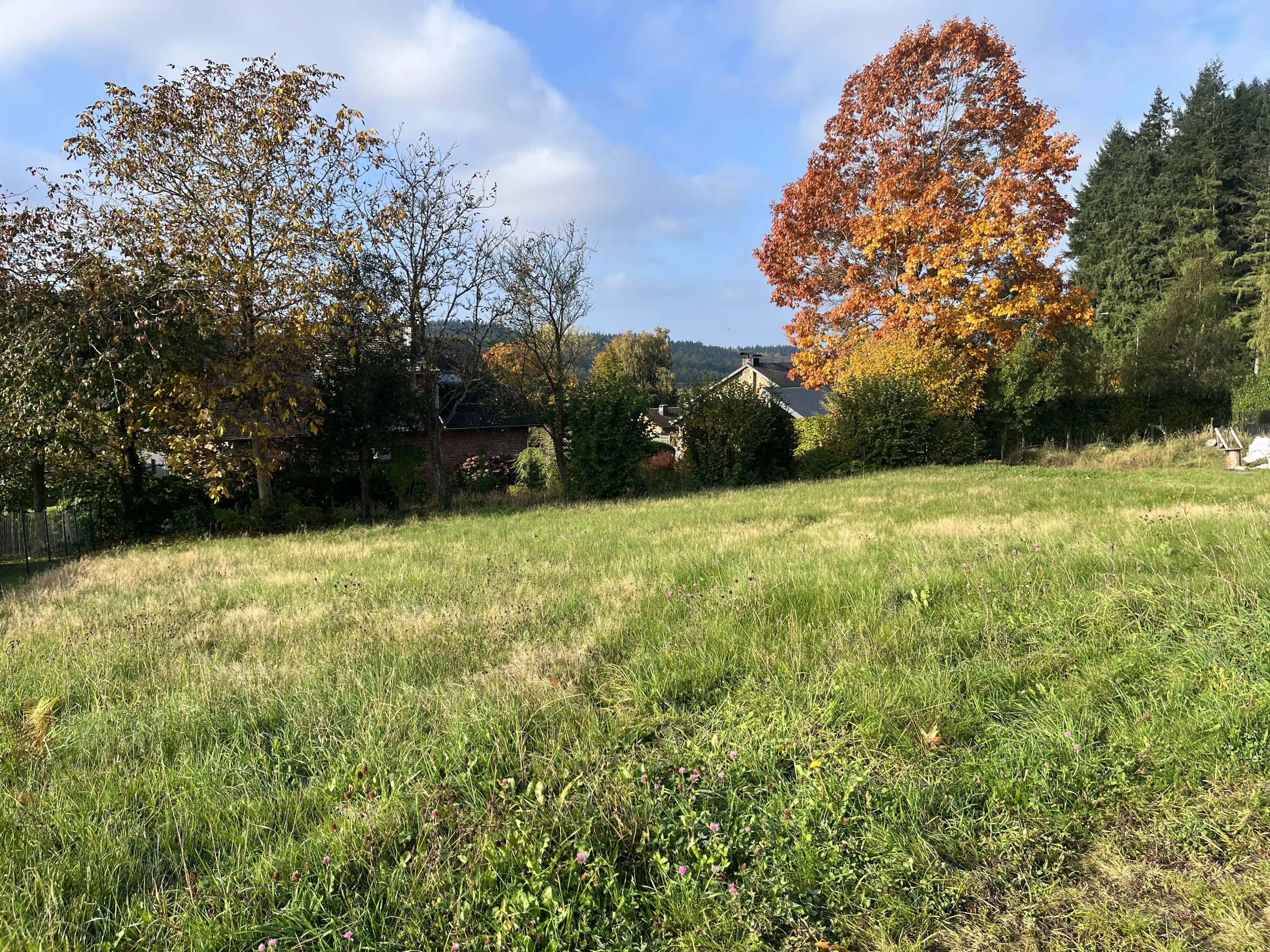 Uniek perceel bouwgrond te koop te Vesqueville foto 5