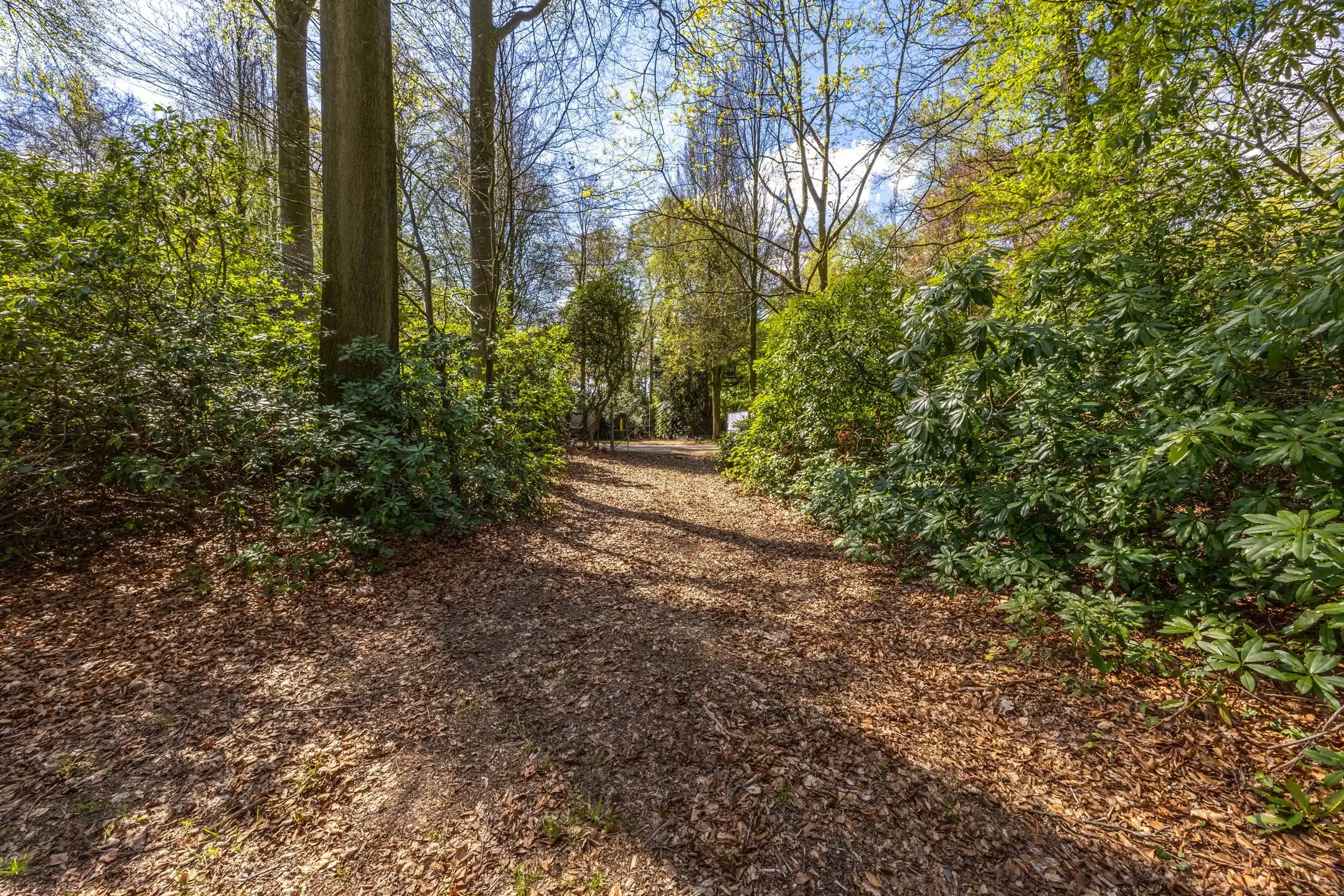 Architecturale villa in harmonie met de natuur foto 10