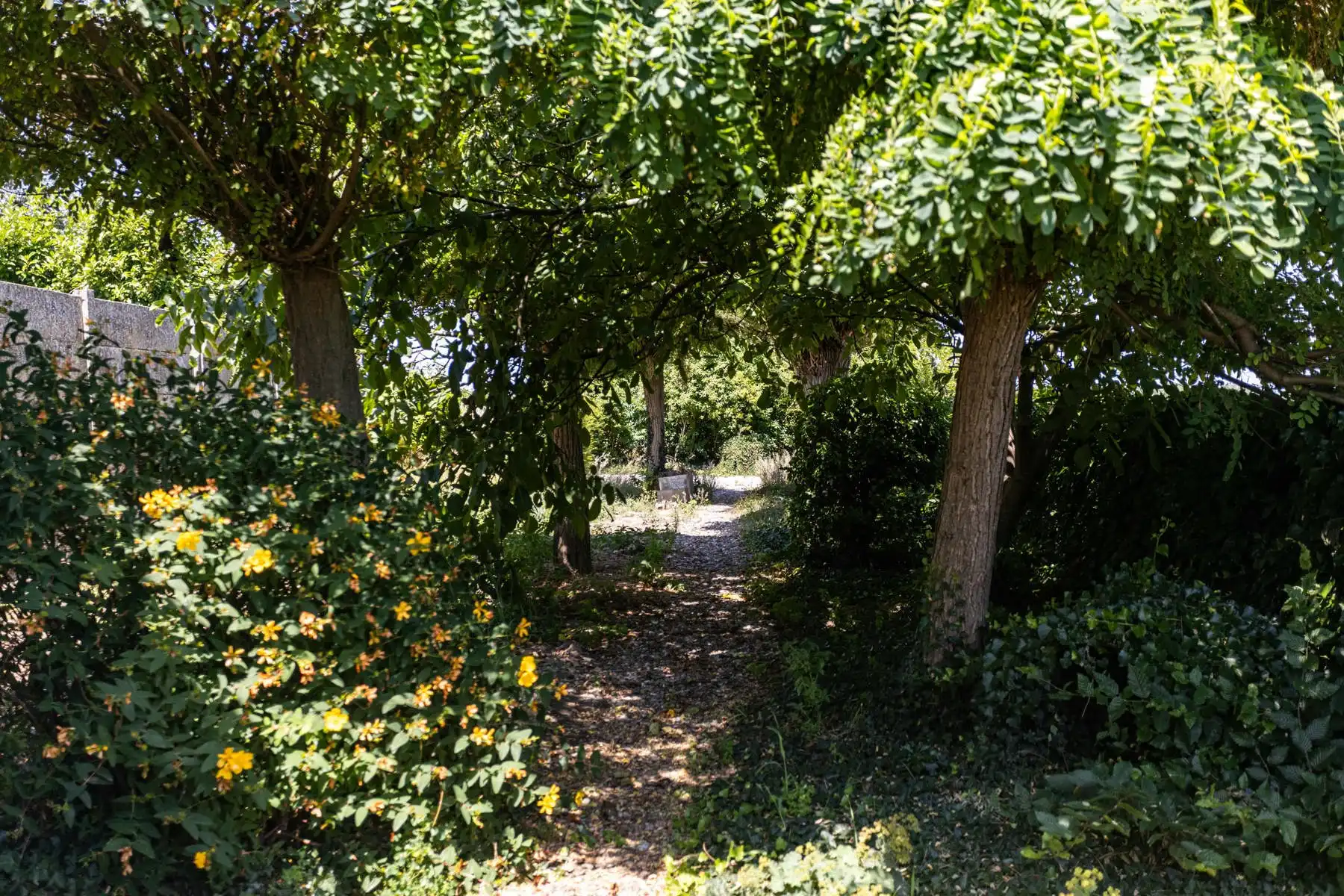 Te renoveren woning met grote tuin en atelier op toplocatie! foto 35