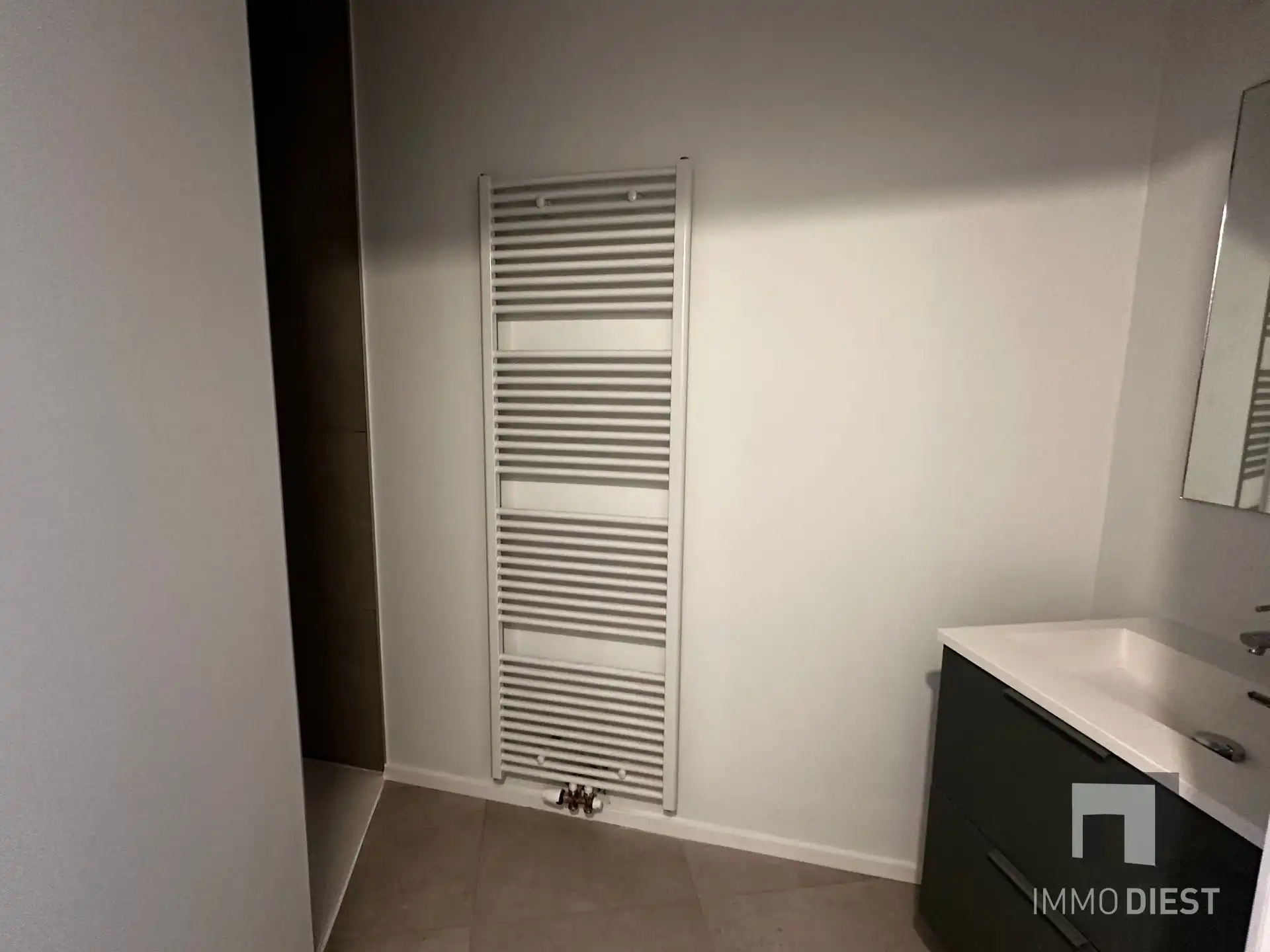 Knap appartement met terras en 2 slpks - centrum Diest - veel lichtinval foto 8
