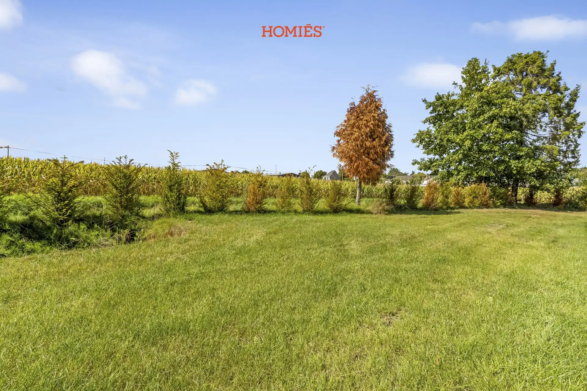 Prachtige, energiezuinige villa in een oase van groen foto 22