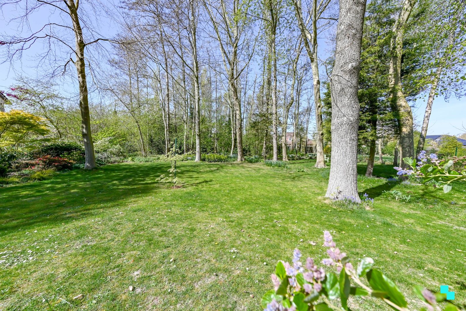 Prachtige villa te koop in Sint-Eloois-Winkel foto 23