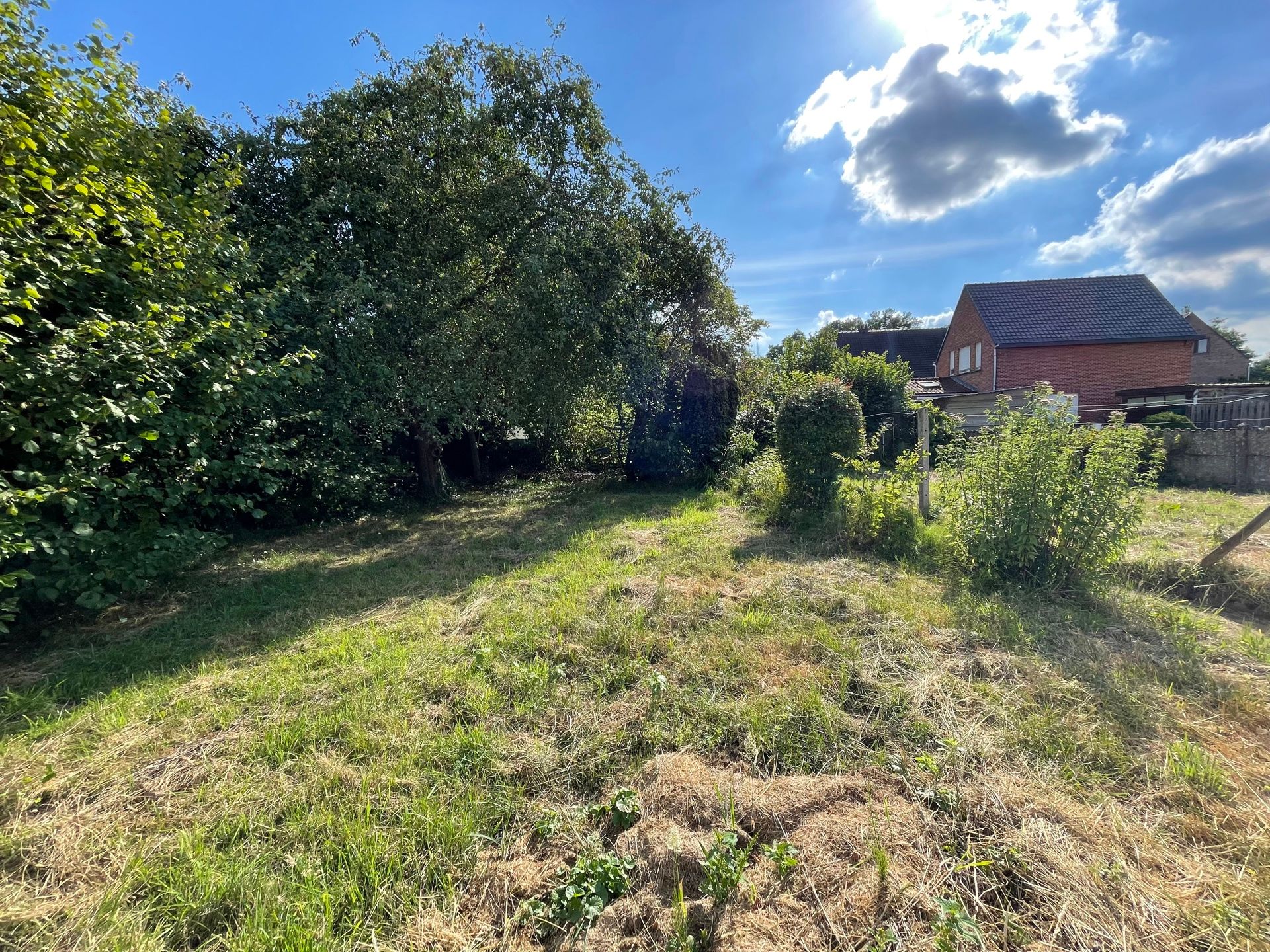Te renoveren woning met veel potentieel foto 26