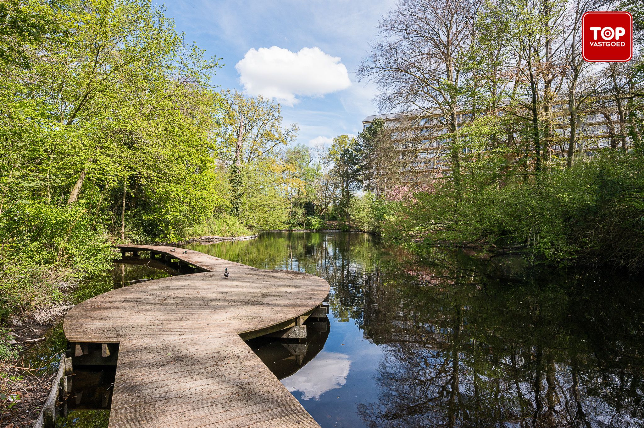 Instapklaar 2-slaapkamer appartement met groot terras en zicht op een prachtig park. foto 15