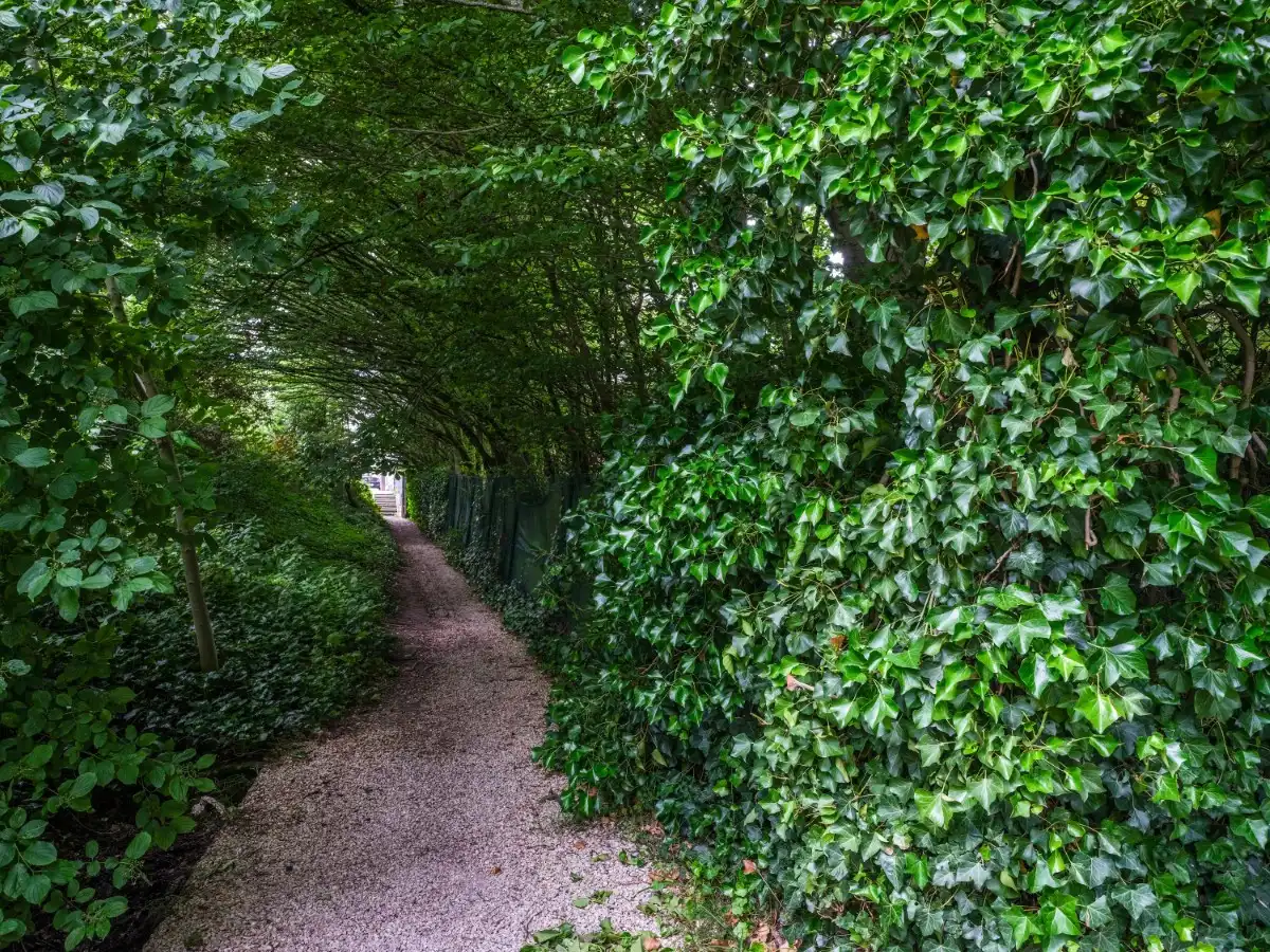 Izegem – Karaktervolle pastoriewoning met diepe tuin en tal van mogelijkheden foto 34