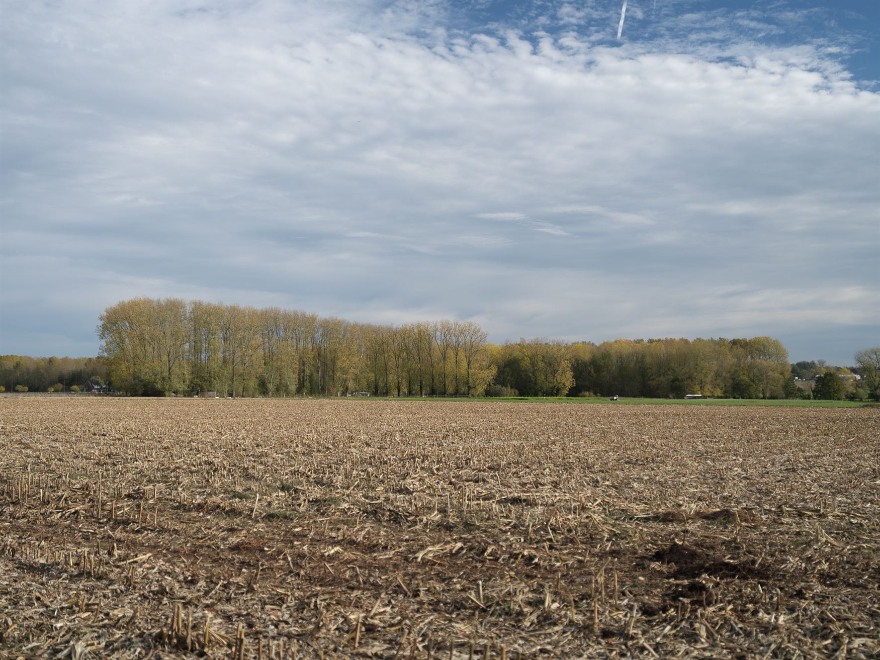 Hoogwaardig afgewerkte herenwoning + bijgebouw 84m2. foto 10