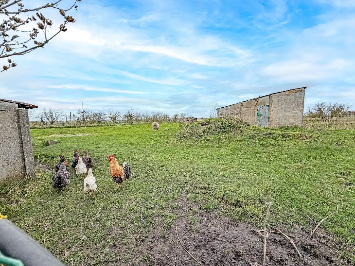 KIJKDAG ZATERDAG 21/03 VAN 10U TOT 12U! foto 23