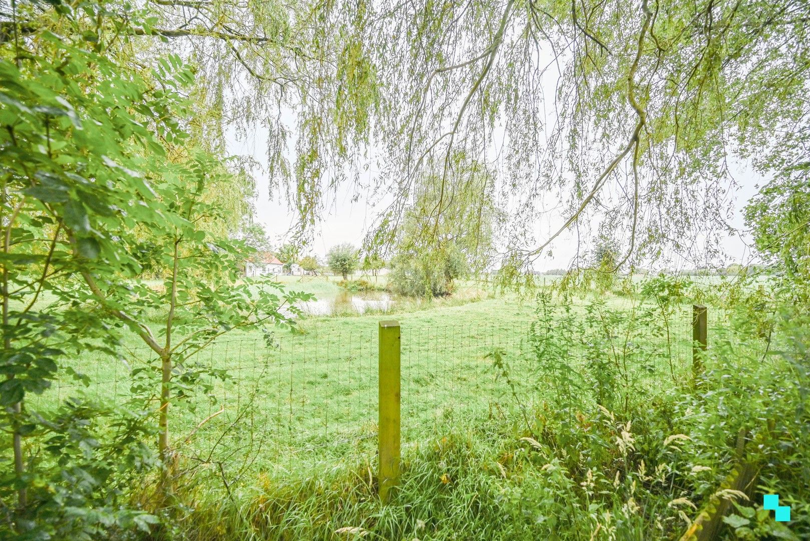 Interessante eigendom op landelijke ligging te Oostrozebeke foto 22