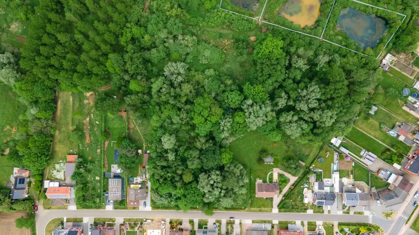 Rustig gelegen bouwgrond van 800m² voor HOB in Olmen foto 9