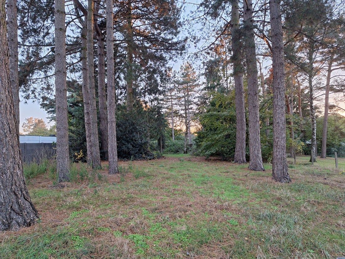 Spaans landhuis te Zonhoven met voldoende groen foto 24