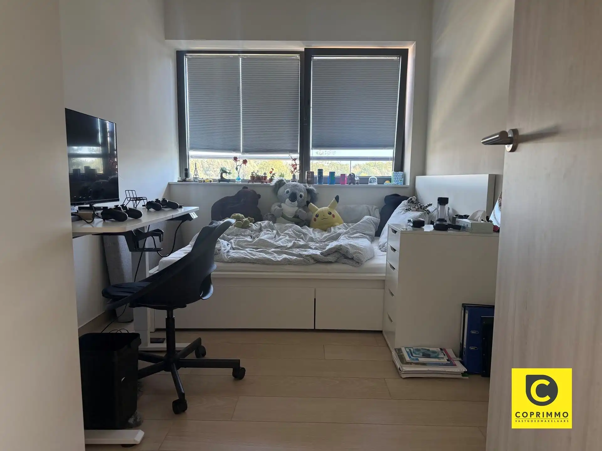 Dakappartement: 2 slk, T en P foto 10
