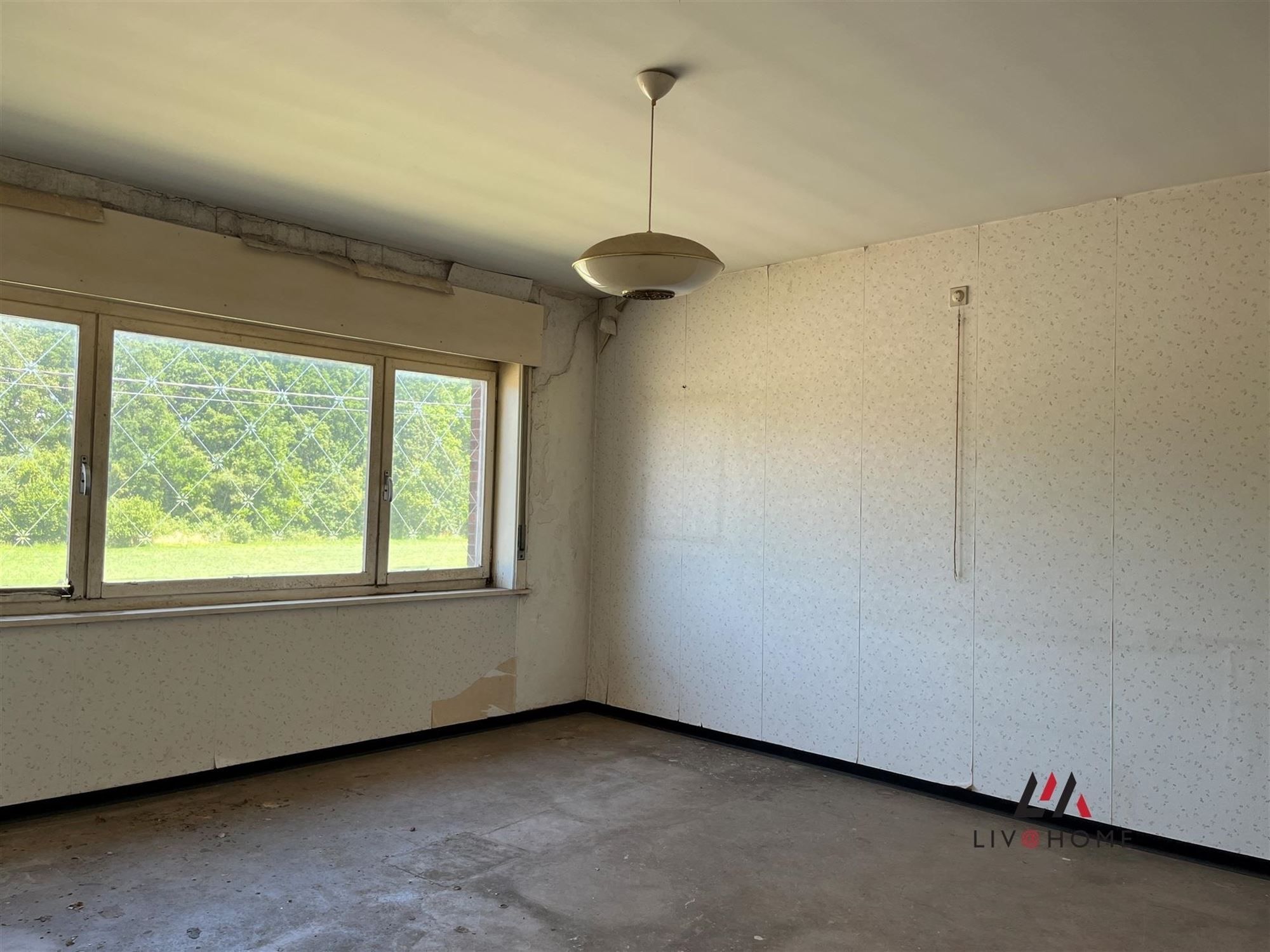 woning met 2,8 ha grond foto 23