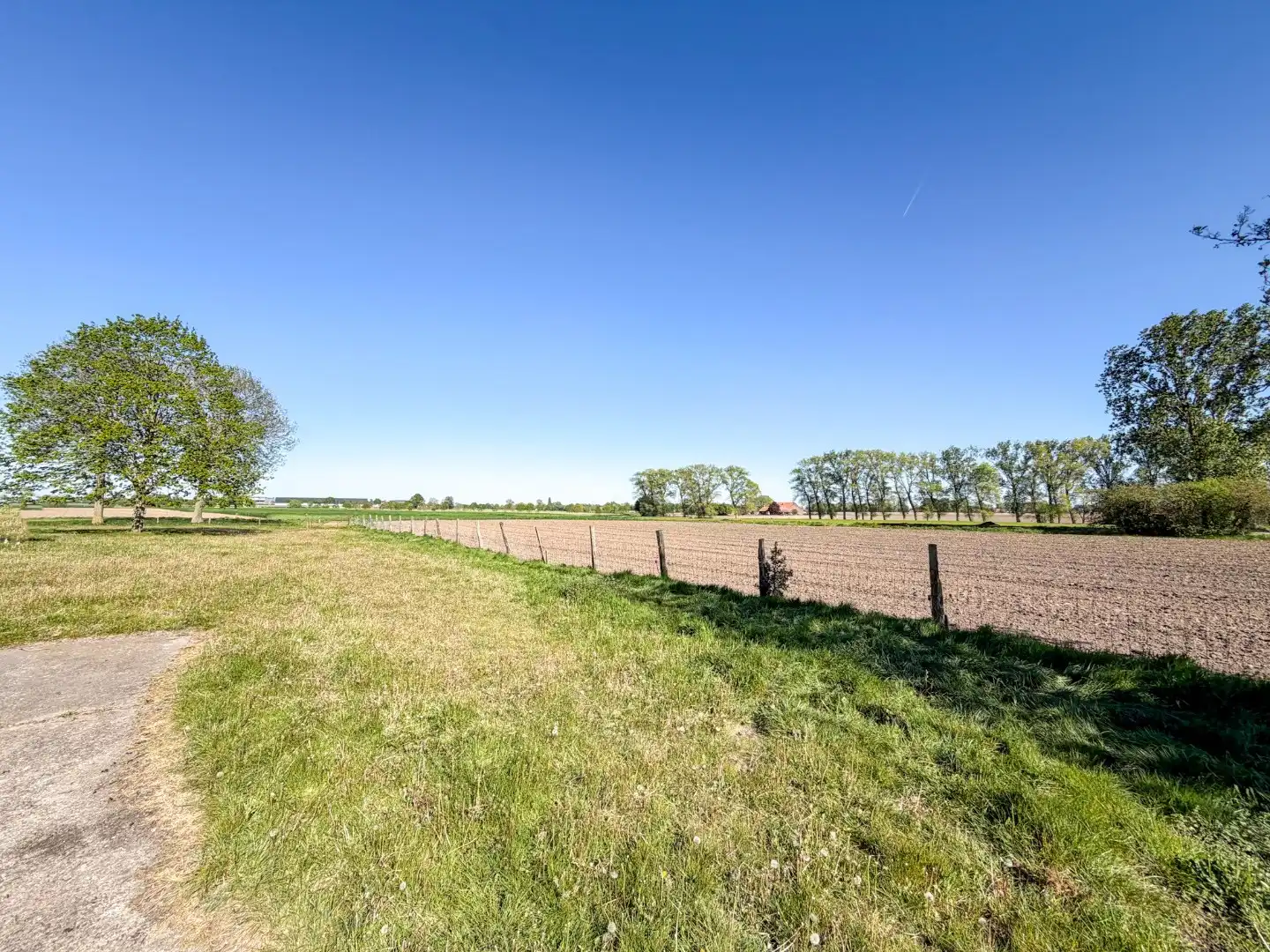 Landelijke hoeve-woning op ruim perceel, met weide en stallingen. foto 4
