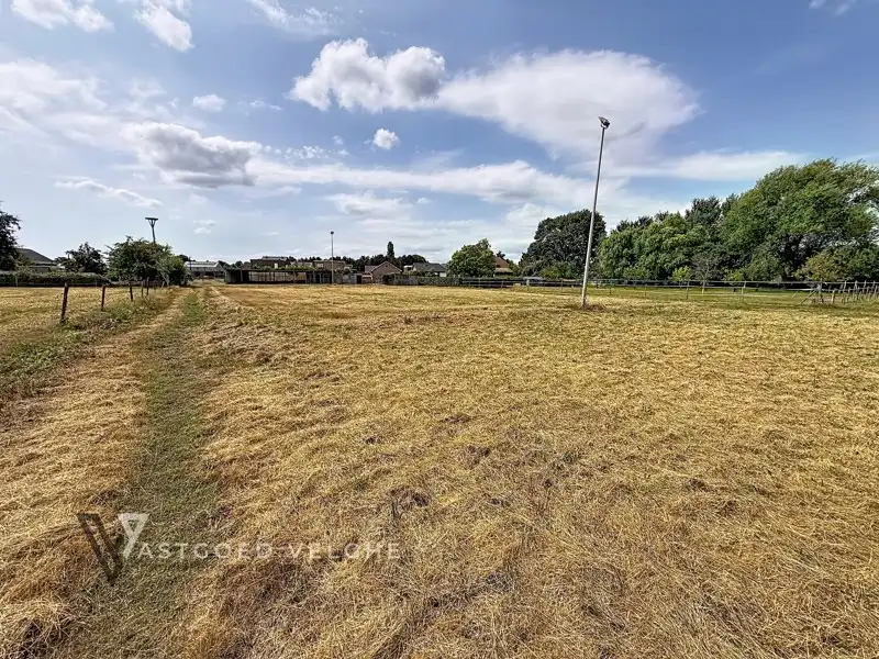 Woning met 3 slaapkamers op uitzonderlijk perceel van 1,63 hectare in groene omgeving foto 42