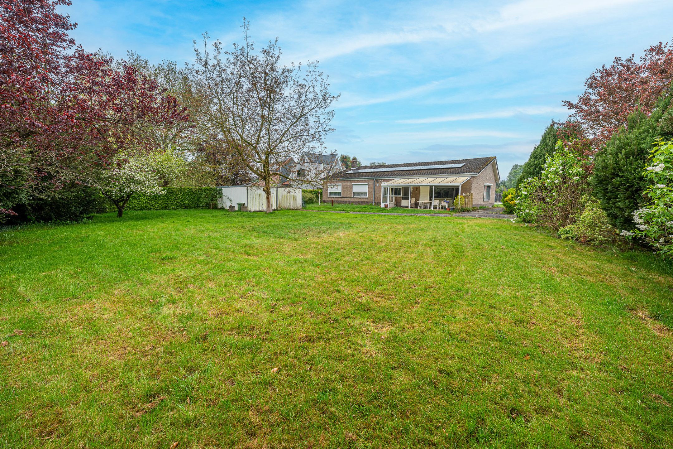 Gelijkvloerse woning op een aantrekkelijk perceel  foto 4