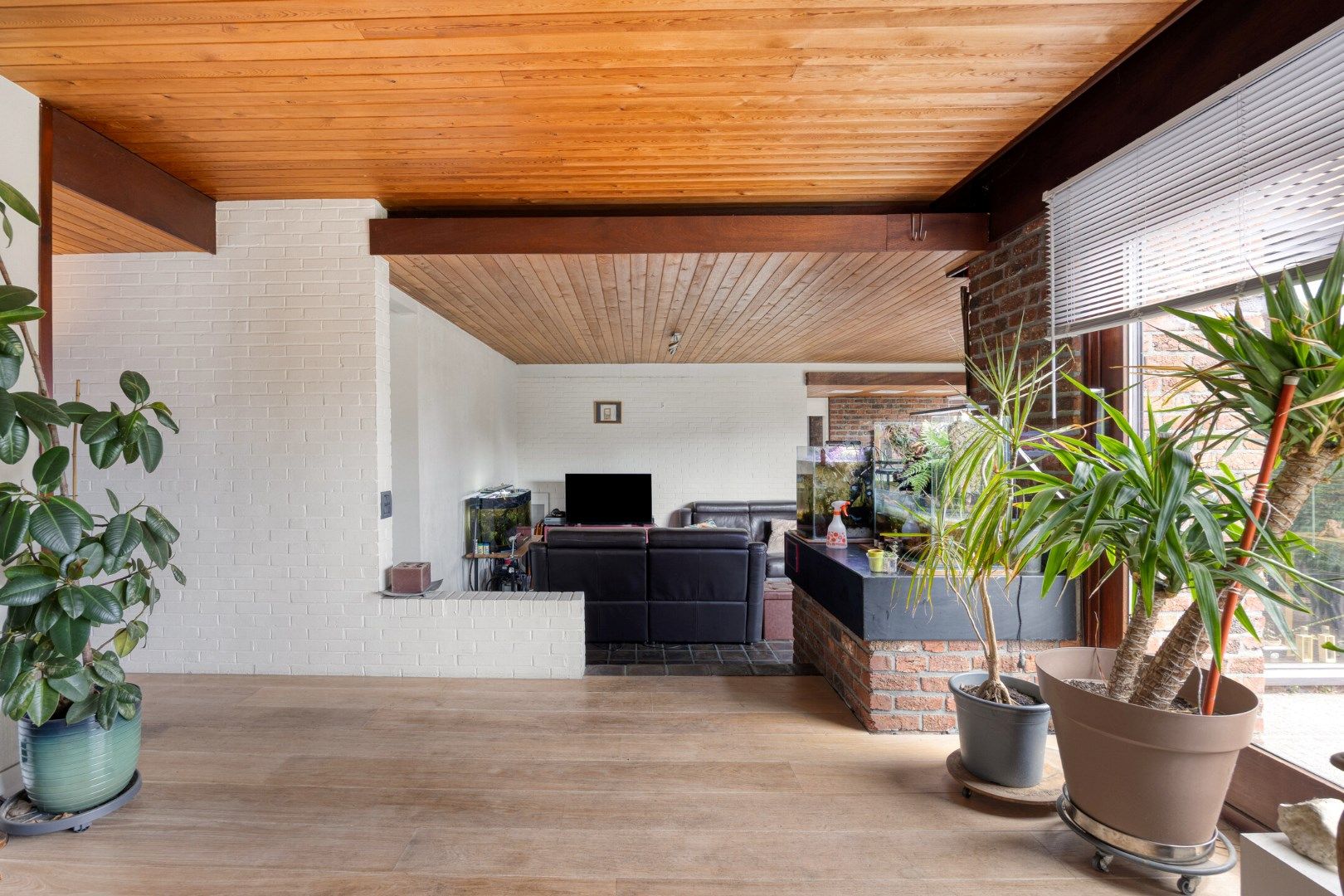 Gunstig gelegen instapklare woning op prachtig perceel van 10a88 ! foto 2