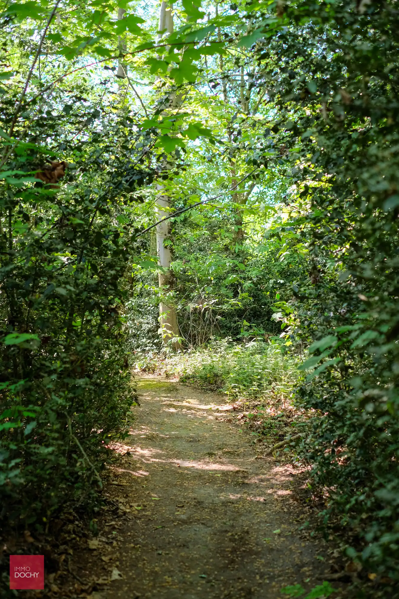 Uniek domein met ruime villa in prachtige parktuin op 2,7ha foto 10