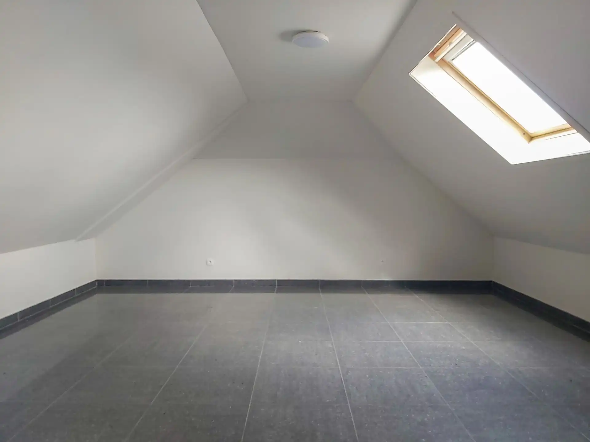 Ruime triplex met studio te koop in Opgrimbie! foto 22