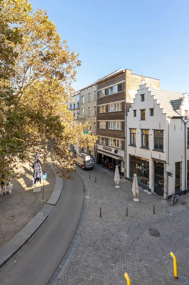 Lichtrijk appartement op het falconplein foto 7