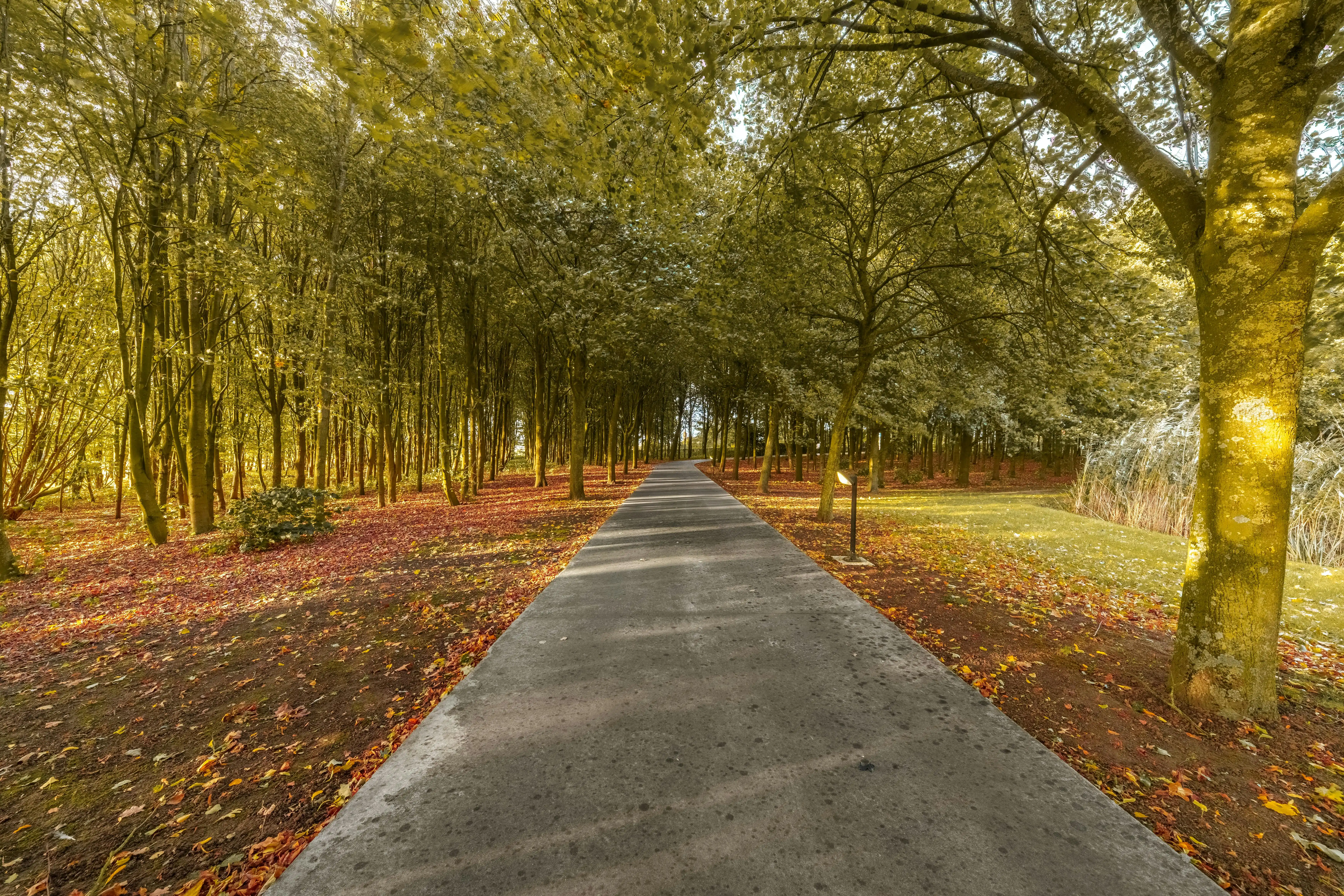 Unieke villa op 2,1 ha met 360°-uitzicht en eigen bos foto 7