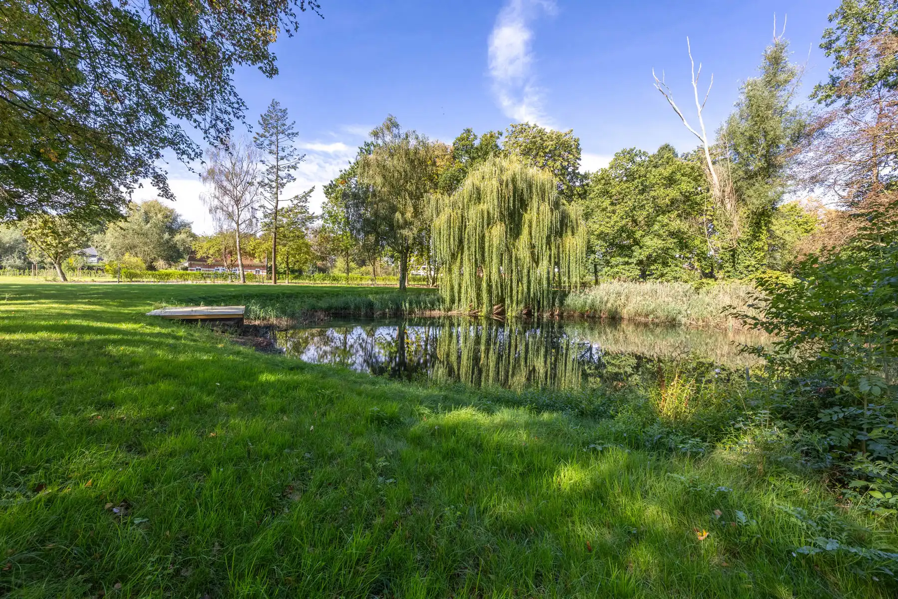 Karaktervol landhuis op een groen domein van ca. 3 ha foto 4