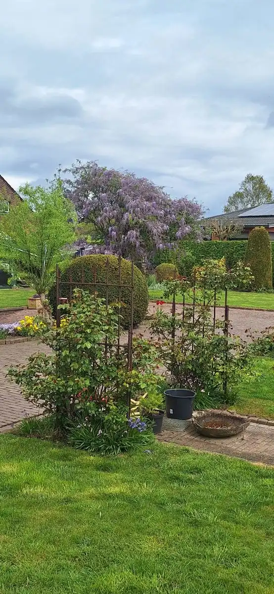 Huis te koop foto 45