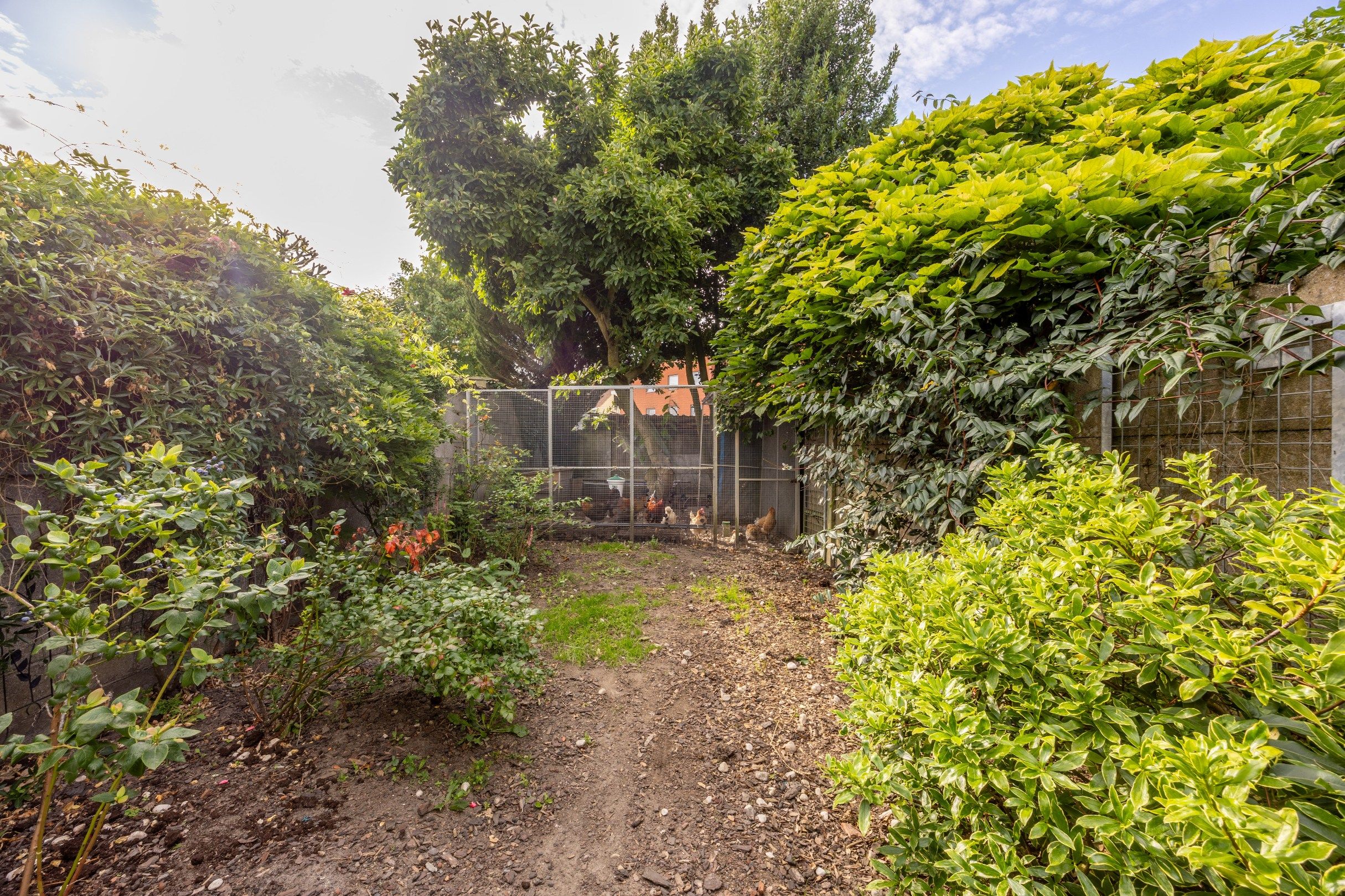 STADSWONING MET 3 SLAAPKAMERS EN TUIN foto 12